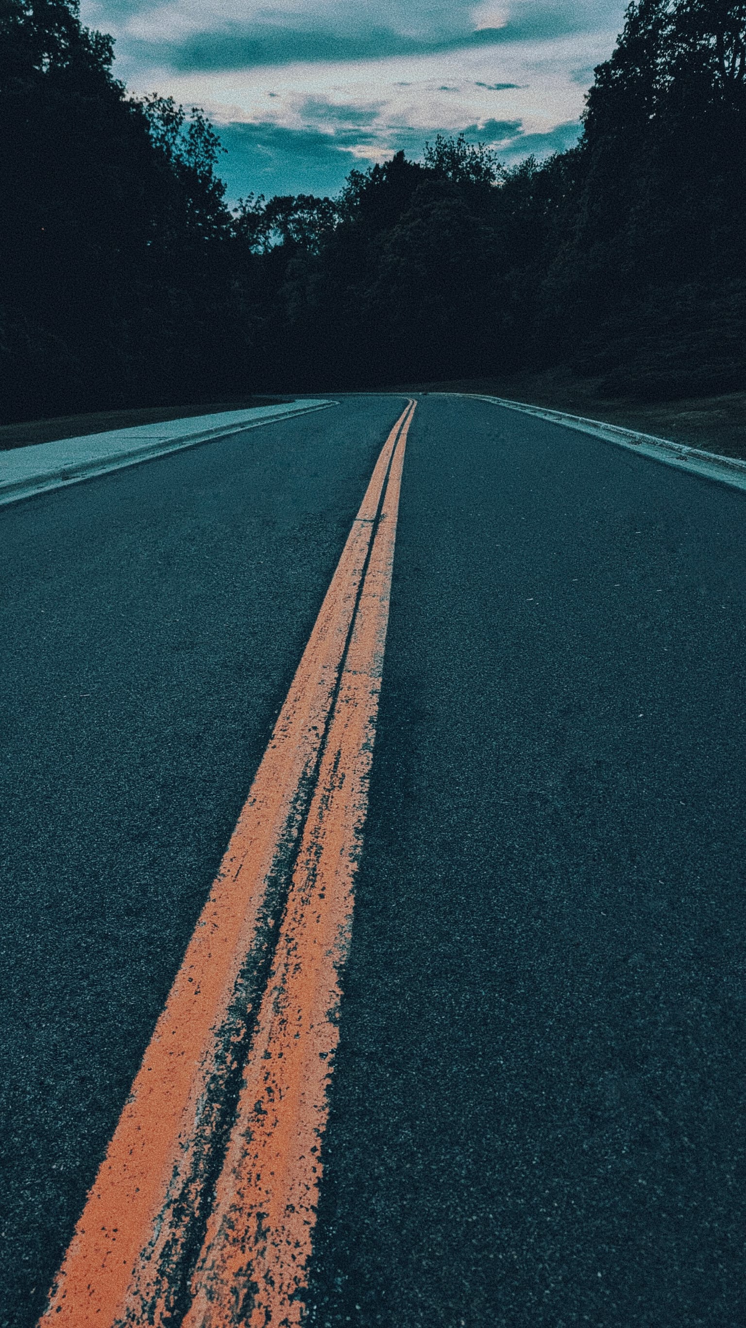 Road landscape